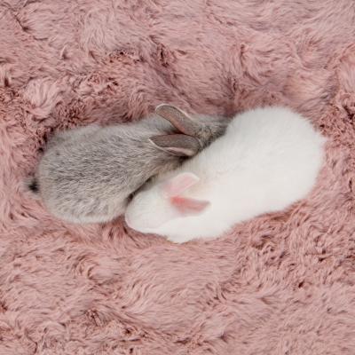 Ковер Rabbit розовый 160 x 230 фото #1