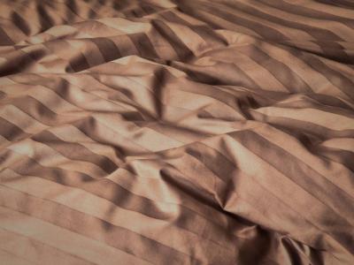 Постельное Райтон белье Cotton Line 143×210 Сатин (Коричневый) фото #5