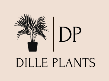 Логотип магазина DillePlants